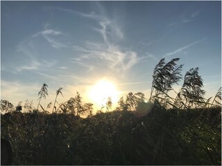 Appartamento Döse  17