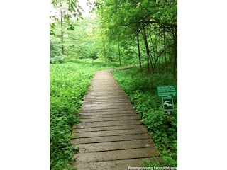 Holiday apartment Lemgo Environment 17