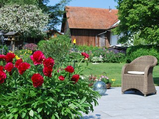 Blick in den Garten