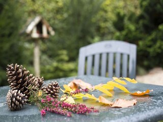 Holiday park Groesbeek  24