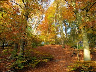 Parc de vacances Groesbeek Environnement 22