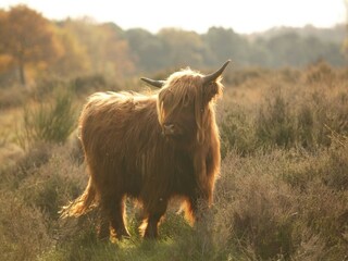 Parc de vacances Groesbeek Environnement 27