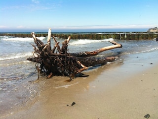 Strandfund