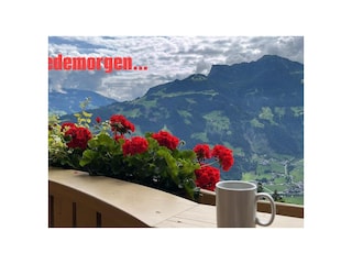 Appartement Mayrhofen-Hippach Omgeving 7
