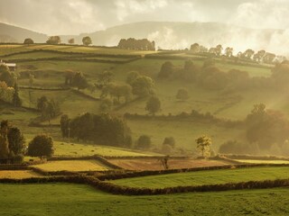 Ferienhaus Saint-Franchy Umgebung 36