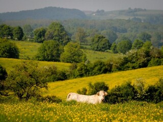 Vakantiehuis Saint-Franchy Omgeving 33