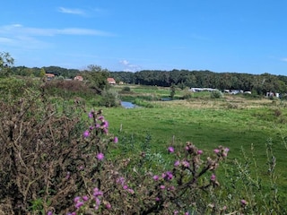 Vakantiepark Plasmolen Omgeving 36