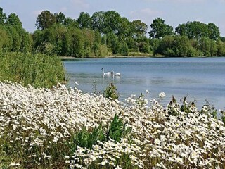 Vakantiepark Plasmolen Omgeving 27