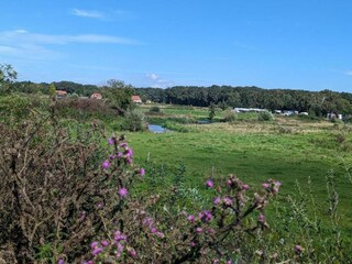 Vakantiepark Plasmolen Omgeving 30