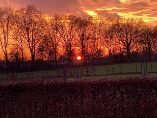 Holiday park Plasmolen Environment 27