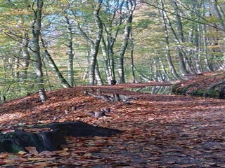 Parc de vacances Plasmolen Environnement 35