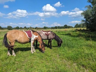 Vakantiepark Plasmolen Omgeving 36