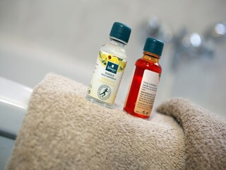 Parco vacanze Plasmolen Caratteristiche 15