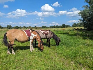 Vakantiepark Plasmolen Omgeving 37