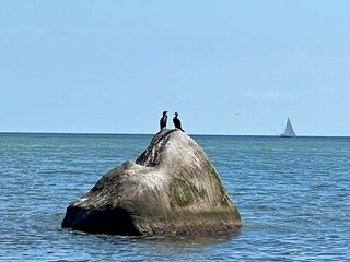 Casa per le vacanze Lohme Registrazione all'aperto 22