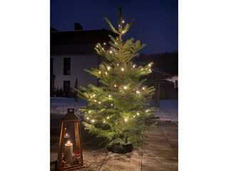 Apartment Bergfieber