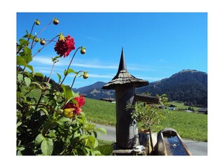 Hausbrunnen mit Buchensteinwand im Hintergrund