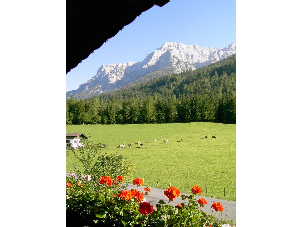 Blick vom Balkon in die Berge