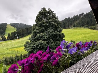 IMG_3012