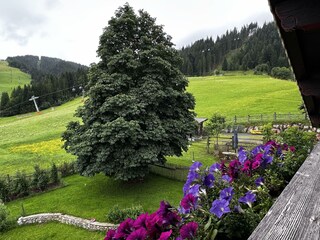 IMG_3014