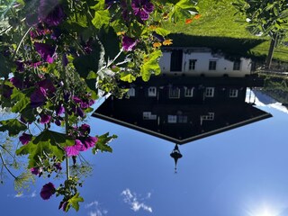 IMG_2660