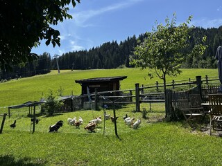 IMG_2985