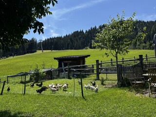 IMG_2986