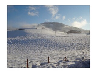 Rund ums Haus