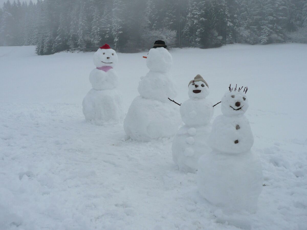 Schneemänner und Frauen