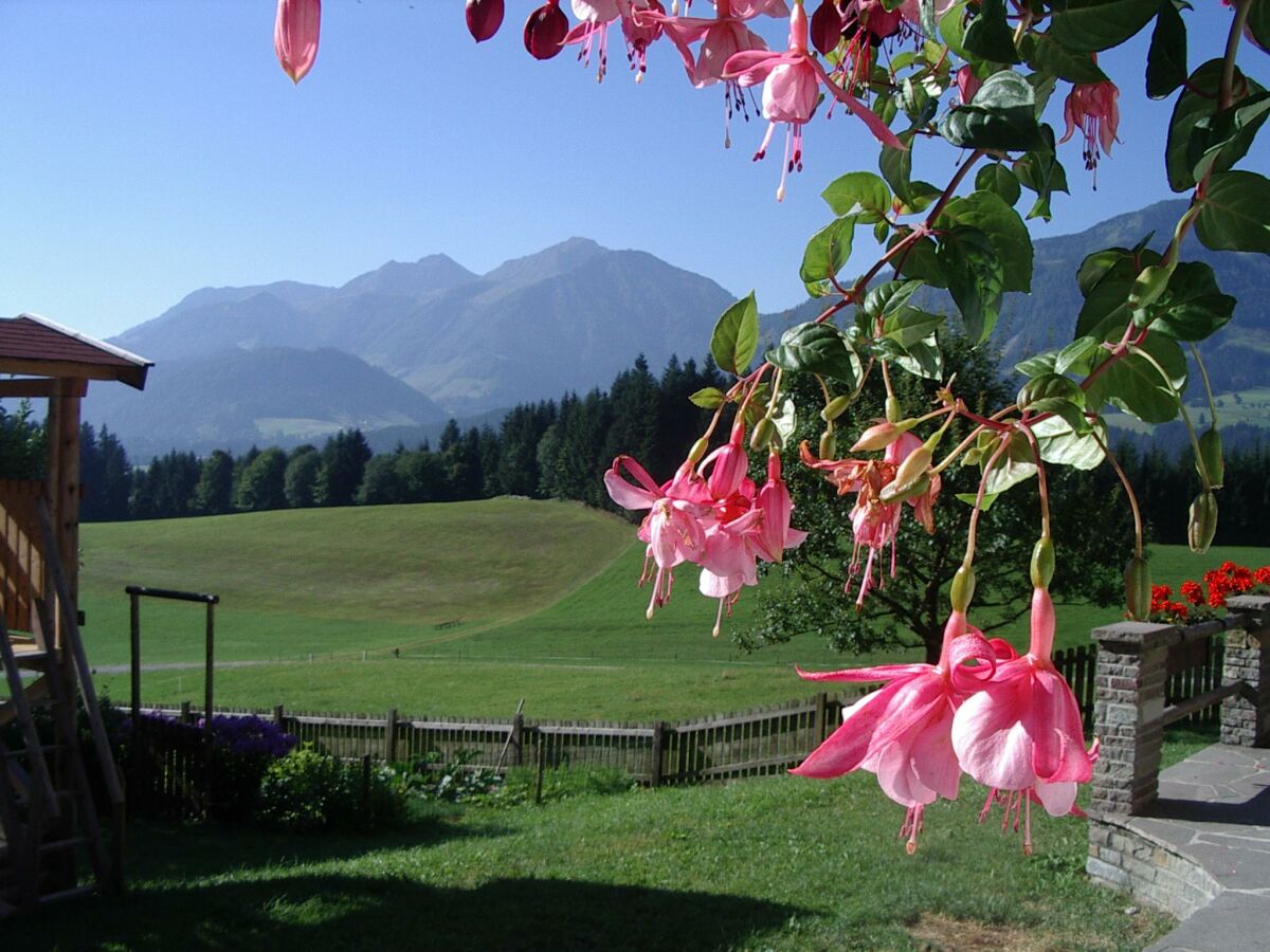 Ausblick vom Elsbichlhof