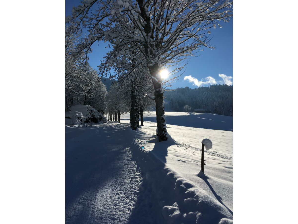 Sonnige Winterwanderwege vor unserer Haustür