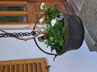 rund ums Haus Mai 25