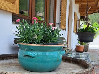 rund ums Haus Mai 25