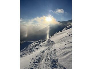 IMG_7483
