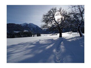Umgebungslandschaft