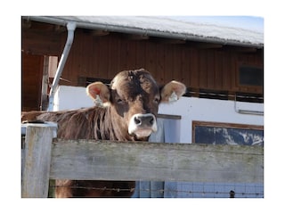 Unsere Tiere