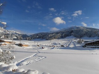 Buchensteinwandblick