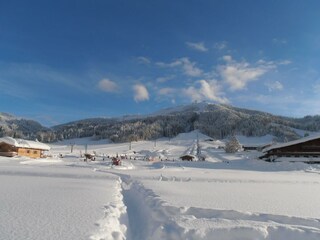 Buchensteinwandblick 2