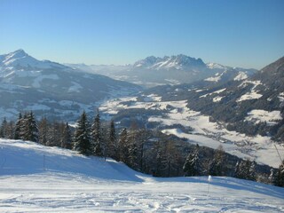 Kitzbüheler Horn / Wilder Kaiser