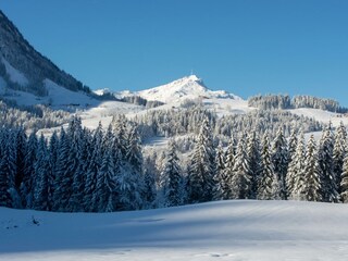 Winterlandschaft © Petra Astner (1)