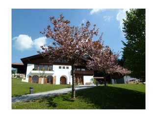 Haus Eberhardt im Frühling
