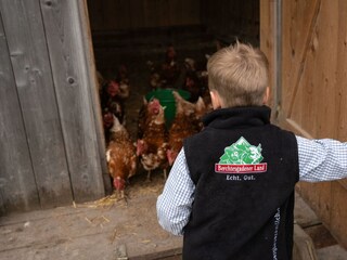 _DSC4613_Recherhof
