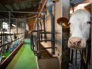 _DSC4673_Recherhof