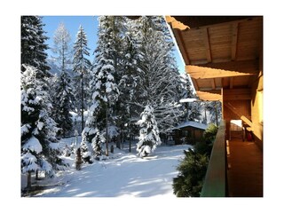 Gartenansicht / Winter