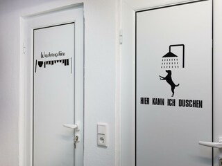 WaMa und Warmwasser-Hundedusche im Keller