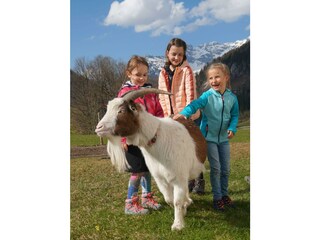 Spaziergang mit unserem braven "Benni"