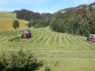 Unsere beiden Traktoren