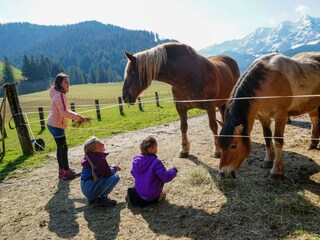 "Kamilla" und "Kokosch"