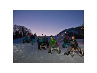 Rodelbahn Hoametzl-Hütte