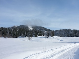 Winterwandern